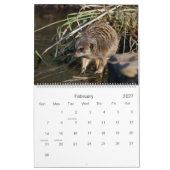 Meerkats 2010-agenda kalender (Feb 2027)