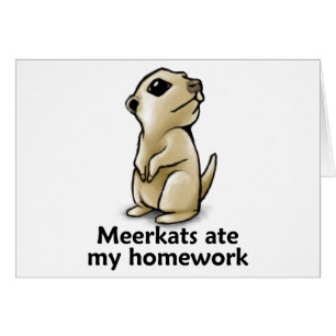 Meerkats at mijn huiswerk