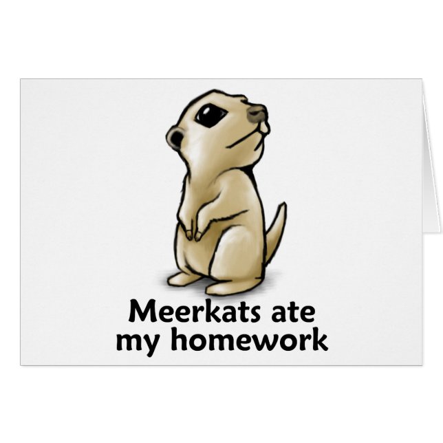 Meerkats at mijn huiswerk (Voorkant Horizontaal)