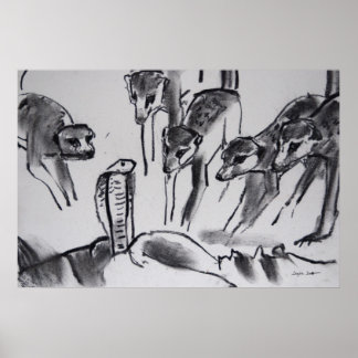 Meerkats die Cobra mobbing - Kunstafdrukken Poster