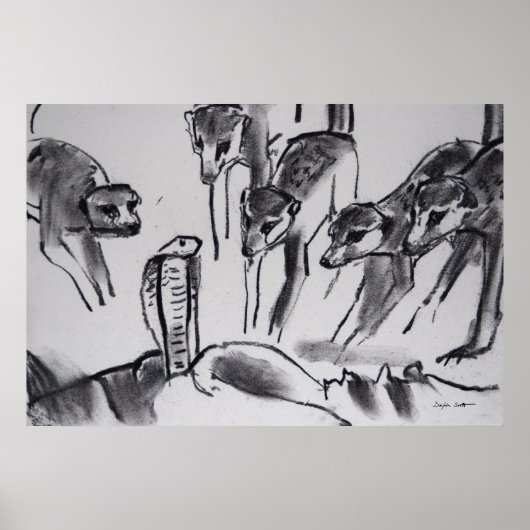 Meerkats die Cobra mobbing - Kunstafdrukken Poster (Voorkant)