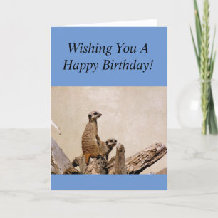 Meerkats Happy Birthday Greeting! Kaart