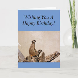 Meerkats Happy Birthday Groet! Kaart