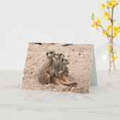 Meerkats in een Wenskaart van de Wirwar Kaart (Gele Bloem)