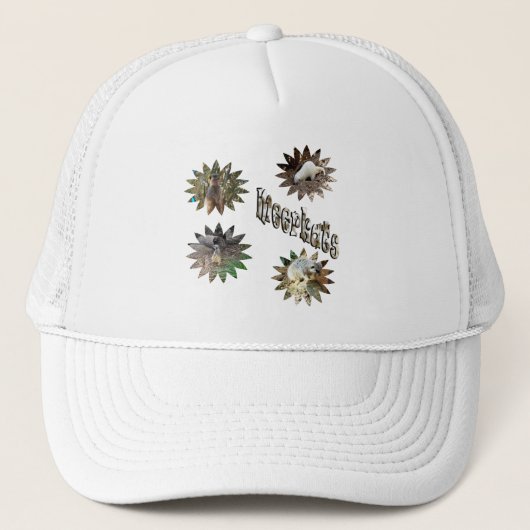 Meerkats in stervormen met Logo, Trucker Pet (Voorkant)