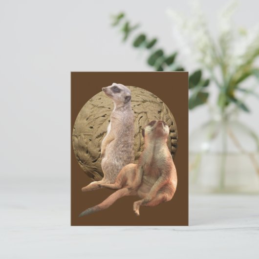 Meerkats Indianapolis Zoo Briefkaart (Staand voorkant)