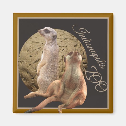 Meerkats Indianapolis Zoo Magneet (Voorkant)