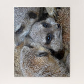 Meerkats Jigzaag Puzzle Legpuzzel (Verticaal)