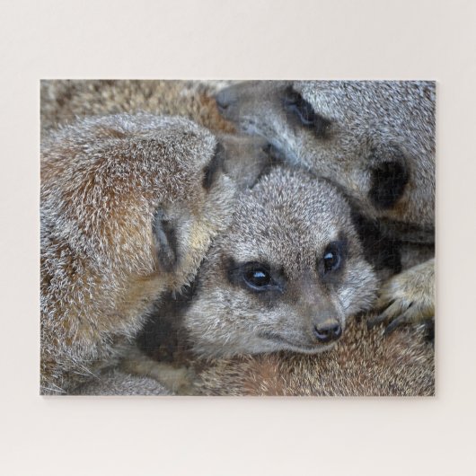 Meerkats Jigzaag Puzzle Legpuzzel (Horizontaal)