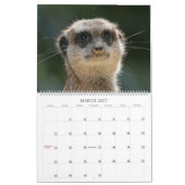 Meerkats Kalender (Mar 2027)