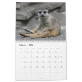 Meerkats Kalender (Feb 2026)