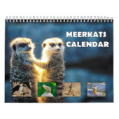 Meerkats Kalender (Hoes)