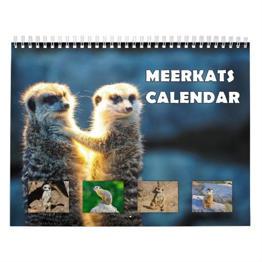 Meerkats Kalender (Hoes)