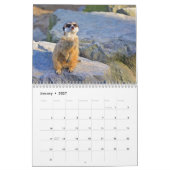 Meerkats Kalender (Jan 2027)