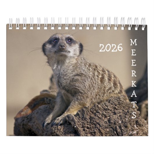 Meerkats-kalender Kalender (Hoes)