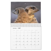 Meerkats-kalender Kalender (Jan 2027)