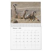 Meerkats-kalender Kalender (Feb 2026)