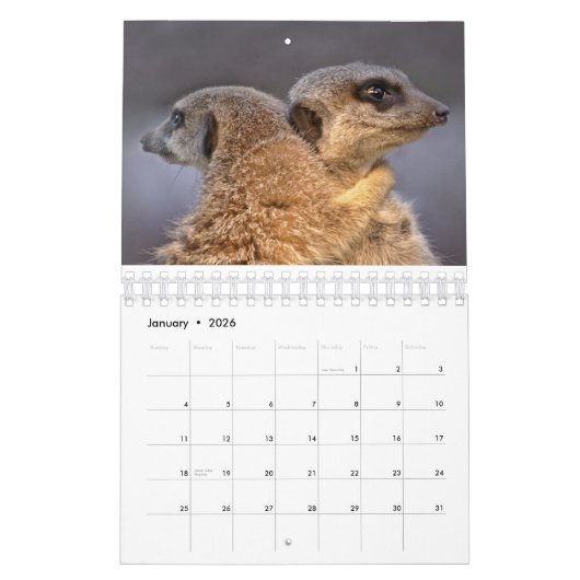 Meerkats-kalender Kalender (Jan 2026)