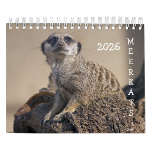 Meerkats-kalender Kalender