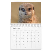 Meerkats-kalender Kalender (Mar 2026)