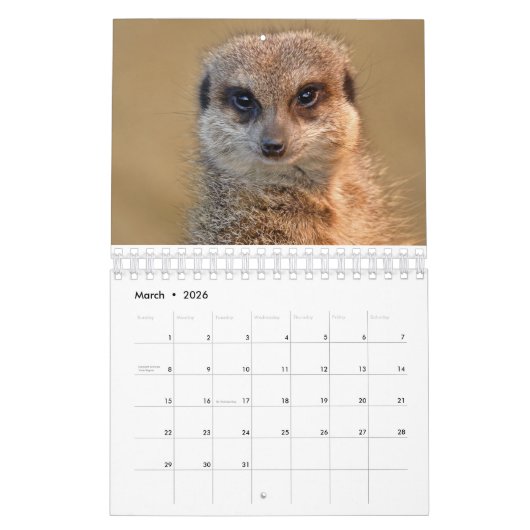 Meerkats-kalender Kalender (Mar 2026)