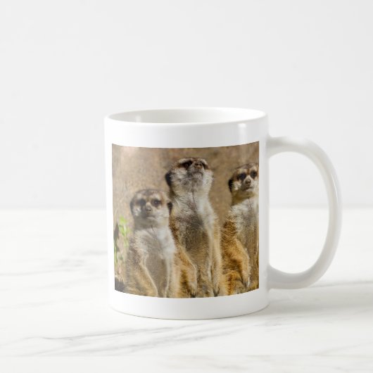 Meerkats Koffiemok (Rechts)