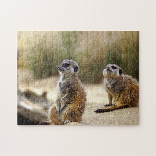 Meerkats. Legpuzzel (Horizontaal)