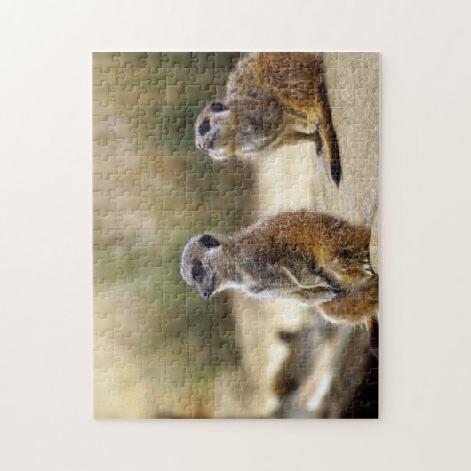 Meerkats. Legpuzzel (Verticaal)