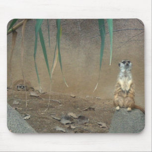 Meerkats Muismat
