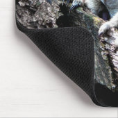 Meerkats Muismat (Hoek)