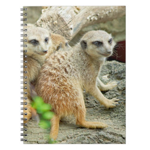 Meerkats - Notitieboek