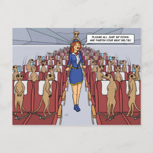 Meerkats on a Plane Postcard Briefkaart