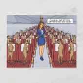 Meerkats on a Plane Postcard Briefkaart (Voorkant)