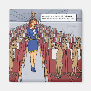 Meerkats op een Plane Magnet
