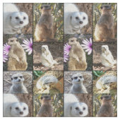 Meerkats Photo Collage Combed Cotton Matrix Stof (Close Up)