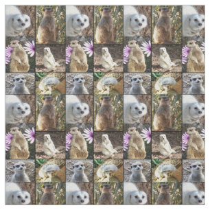 Meerkats Photo Collage Combed Cotton Matrix Stof