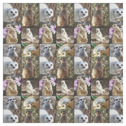 Meerkats Photo Collage Combed Cotton Matrix Stof (Swatch)