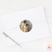 Meerkats Ronde Sticker (Envelop)