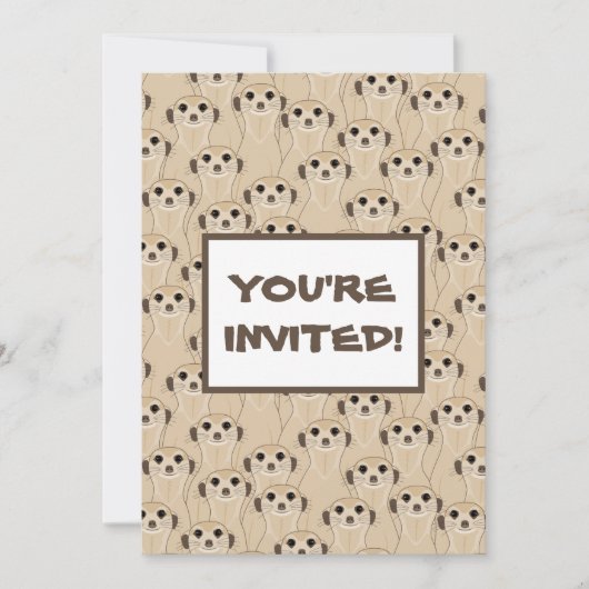 Meerkats - Suricata (Voorkant)