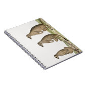 Meerkats Suricata suricatta Notitieboek (Rechterzijde)