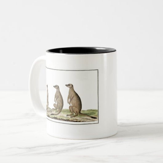 Meerkats Suricata suricatta Tweekleurige Koffiemok (Voorkant links)