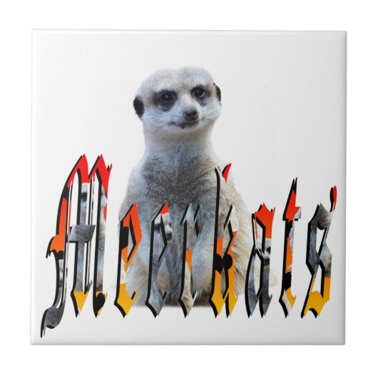 Meerkats: trots achter de naam staan tegeltje (Voorkant)