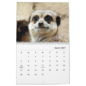 Meerkats Wall Agenda Kalender (Mar 2027)