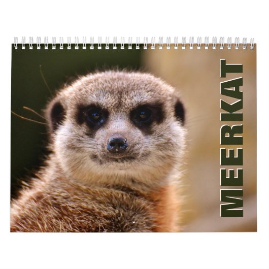 Meerkats Wall Agenda Kalender (Hoes)