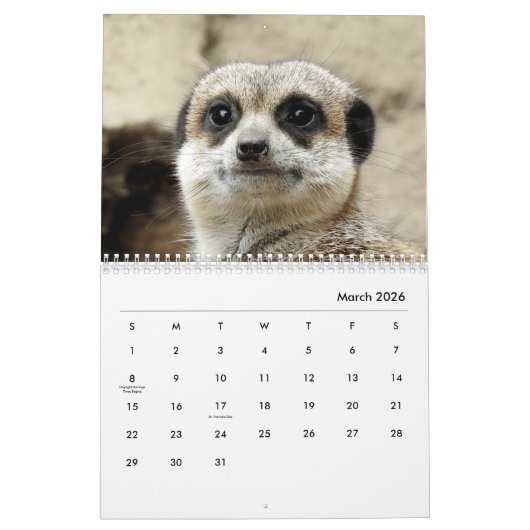 Meerkats Wall Agenda Kalender (Mar 2026)