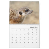 Meerkats Wall Agenda Kalender (Jan 2026)