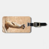 Meerkats zijn cool bagagelabel (Voorkant horizontaal)