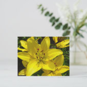 Meerkerk Gardens Briefkaart (Staand voorkant)