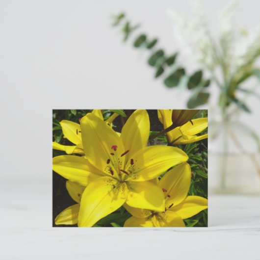 Meerkerk Gardens Briefkaart (Staand voorkant)