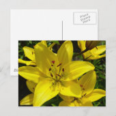 Meerkerk Gardens Briefkaart (Voorkant / Achterkant)